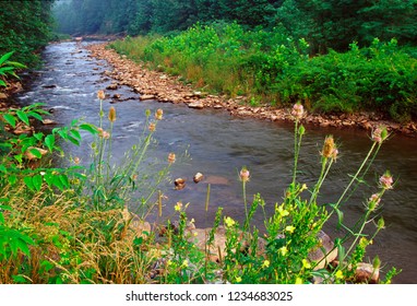 Dry Fork River, Tucker County, West Virginia, USA