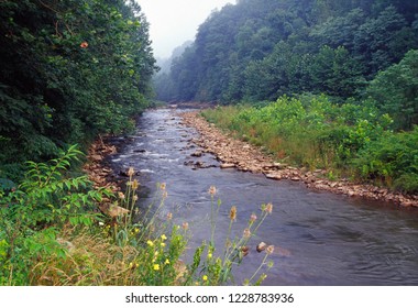 Dry Fork In Tucker County, West Virginia, USA