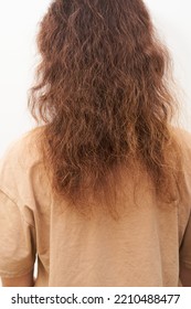 Dry And Frizzy Natural Curly Hair That Needs Hydration. Natural Curls Before Salon Treatment. Close Up.