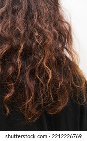 Dry And Frizzy Natural Curly Hair That Needs Hydration. Natural Curls Before Salon Treatment. Close Up.