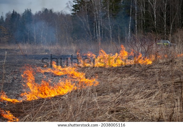 Dry\
grass is burning. Fire in the field in spring. Burning dead wood\
over a large area. Dangerous situation with\
fire.