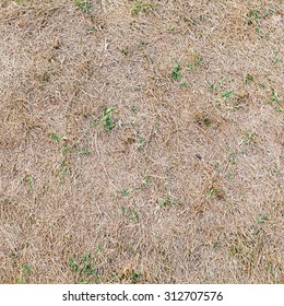 dirt and grass texture