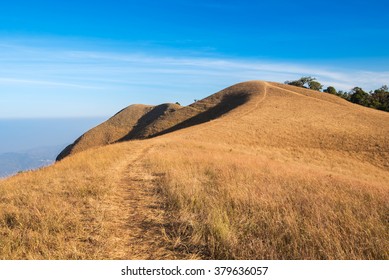 dry grass on the mountain with blue sky at doi monjong, chiangmai, thailand