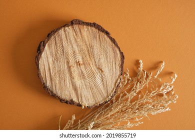 Dry Grass And A Round Saw Cut Of A Tree Podium On A Brown Background, Background For A Product From Natural Ingredients Copy Space Top View Mock Up