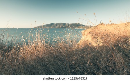 Dry grass with still sea on a background. Coastal landscape of Zakynthos island, Greece. Photo with tonal correction effect - Powered by Shutterstock