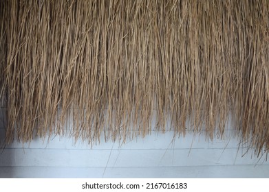 Dry grass surface texture on white wood background