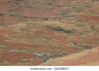 Dry Grassland Across A Mountainside, South Africa