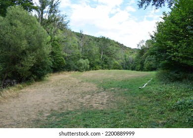 Dry Grassland Between Trees In The Eifel