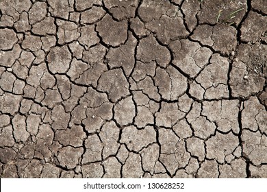 Dry Ground