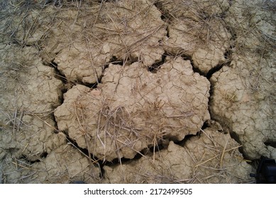 Dry Ground In The Crete Senesi