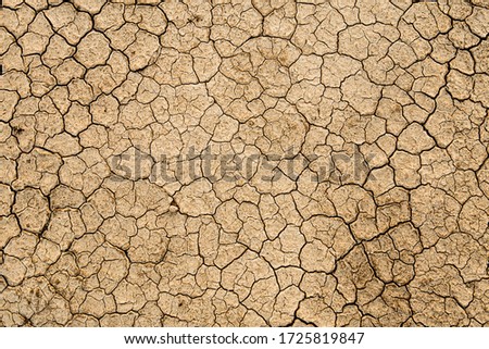 The dry ground of the desert