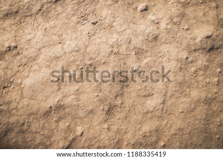 Dry ground texture.