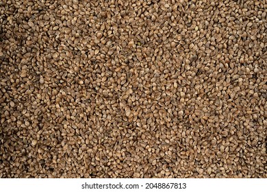 Dry Hemp seeds background and texture, Cannabis seed, Hemp seed close up for design