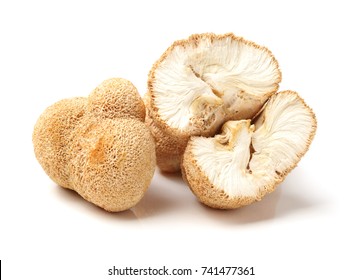  Dry Hericium Erinaceus