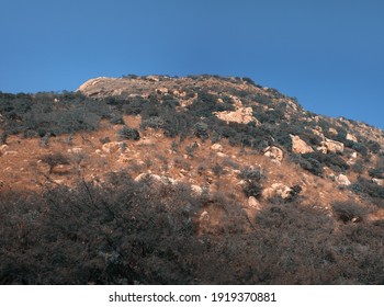 Dry hills in the area of the Deccan plateau, Semi-deciduous forests, scrub in wintertime. India