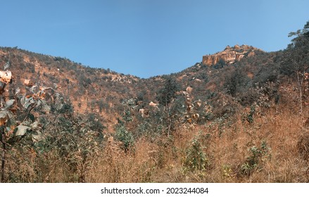 Dry hills and fields in the area of the Southern Deccan plateau, Semi-deciduous tropical forests and shrubs in the winter season. India