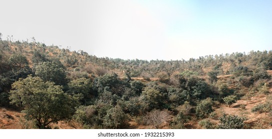 Dry hills and scrub (evergreen sclerophyllous bush formation) in the area of the Deccan plateau, India