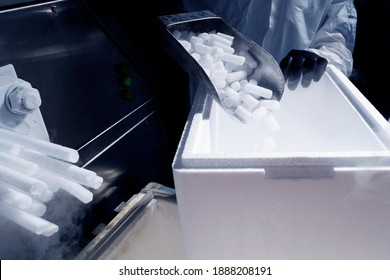 Dry Ice In Production ( The Solid Form Of Carbon Dioxide)