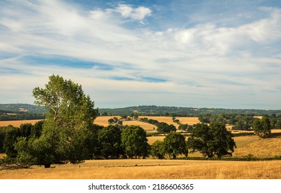 Dry July Summer High Weald Landscape Near Broad Oak East Sussex South East England