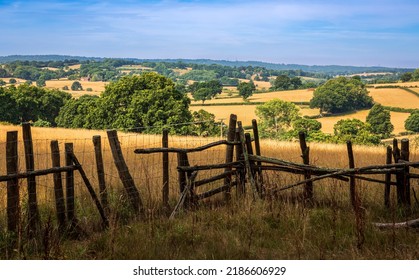 Dry July Summer High Weald Landscape Near Broad Oak East Sussex South East England