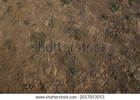The dry lake Edersee near of the bridge Asel at summer Stock photo © 