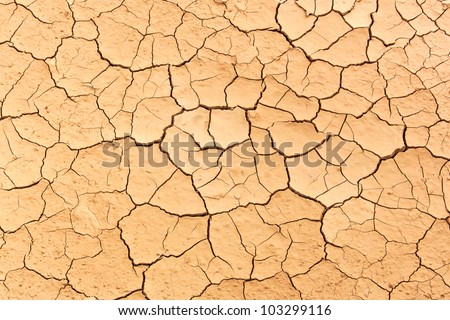 Dry land. Cracked ground background.