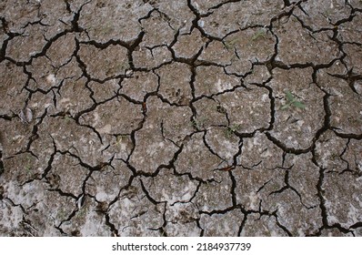 Dry Land Drought Cracked Ground 