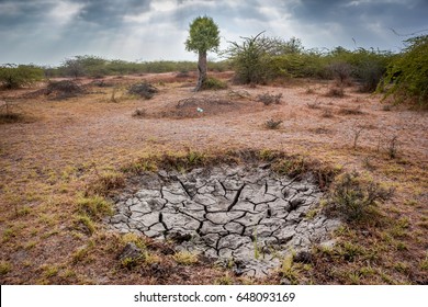 Dry land effected by drought in Gir forest of Gujarat state of India. 