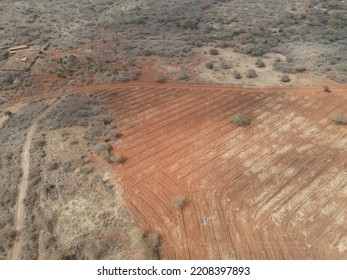 Dry Land Of Farms In Kenya. Food Security