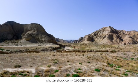 Dry Land And Hot Climate Rare Plants, Hainan Tibetan Autnomous Prefercture, Qinghai, CHINA 