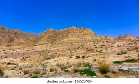 Dry Land And Hot Climate Rare Plants, Hainan Tibetan Autnomous Prefercture, Qinghai, CHINA 