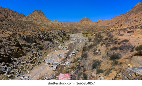 Dry Land And Hot Climate Rare Plants, Hainan Tibetan Autnomous Prefercture, Qinghai, CHINA 