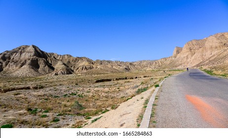 Dry Land And Hot Climate Rare Plants, Hainan Tibetan Autnomous Prefercture, Qinghai, CHINA 