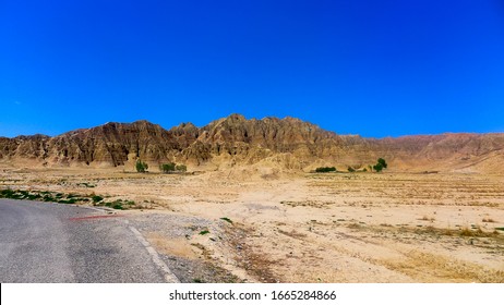 Dry Land And Hot Climate Rare Plants, Hainan Tibetan Autnomous Prefercture, Qinghai, CHINA 