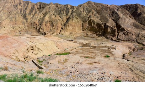 Dry Land And Hot Climate Rare Plants, Hainan Tibetan Autnomous Prefercture, Qinghai, CHINA 