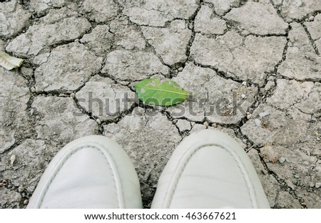 Similar – Person standing on a path with a green leaf nearby