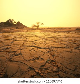 Dry Landscape