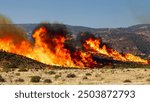 Dry landscape wildfire burning grass