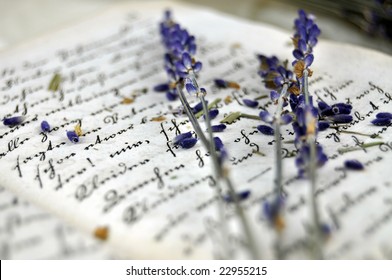 Dry lavender on an old book closeup
