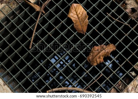 Similar – Image, Stock Photo neighbouring garden