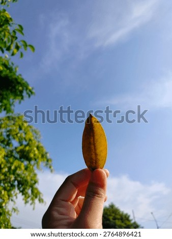 A dry leaf is gently held in a raised hand, reaching toward the sky. The leaf appears fragile and textured, with visible veins and curled edges that tell the story of time and changing seasons. Its earthy color reflects the beauty of nature’s cycle, from growth to transformation. The hand lifting the leaf symbolizes reflection, hope, and a quiet appreciation for simple moments in life.

Above, the open sky creates a peaceful and dreamy atmosphere, making the scene feel meaningful and emotional. This image represents letting go, acceptance, and the natural passage of time, while still finding beauty in something small and ordinary.

#dryleaf #naturemoment #simplebeauty #lifecycle #peacefulvibes #naturelovers #symbolic #autumnfeeling 🍂✨
