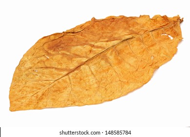 Dry Leaf Tobacco Closeup On The White Background 