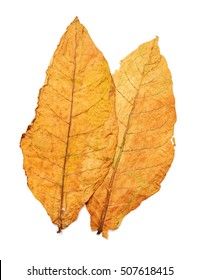 Dry Leaf Tobacco Closeup On The White Background