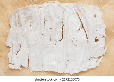 Dry leaven after drying. Saving the starter for later use. Sourdough bread - Shutterstock ID 2192120075