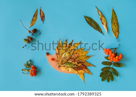 dry leaves applique art autumn. little child making autumn decoration from leaves and forest berries. Children's art project. DIY concept. Step-by-step photo instruction.