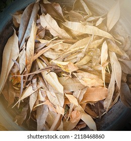 Dry Leaves For Composting : Compost Dry Leaves In A Bin Or Pile