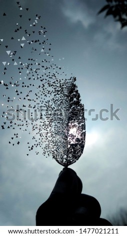 dry leaves disperse into air fading away