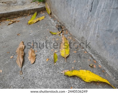 Dry leaves fall in front of a shop during the dry season in Indonesia