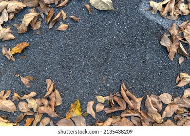 Dry Leaves Lay On Asphalt Road Background. Dry Leaf Fram. Top View. Flat Lay