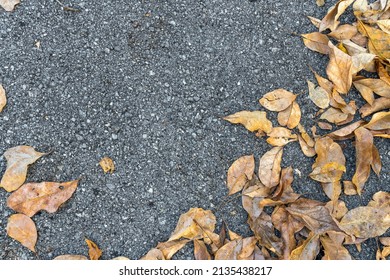 Dry Leaves Lay On Asphalt Road Background. Dry Leaf Fram. Top View. Flat Lay